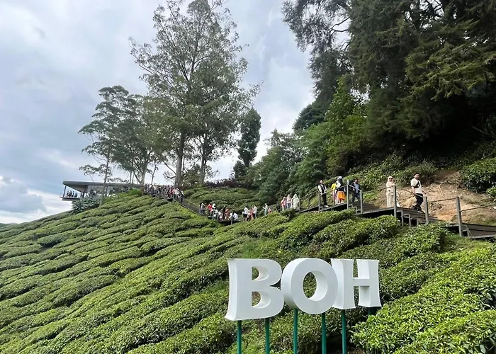 The Retreat Mountain N Sunrise View Hilltop Hotel Apartment In Cameron Highlands